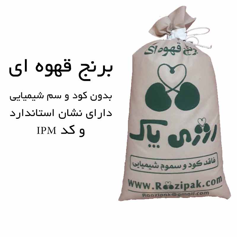 برنج قهوه ای