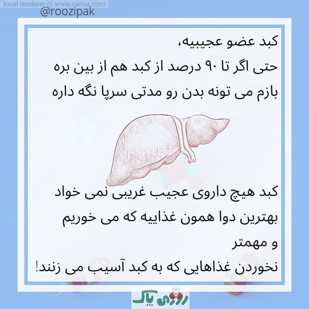 کبد عضو عجیب بدن