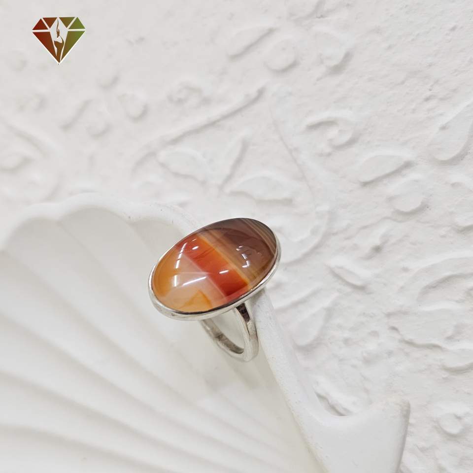 InShot_۲۰۲۴۱۱۰۵_۲۳۳۹۵۰۳۰۳_compress60