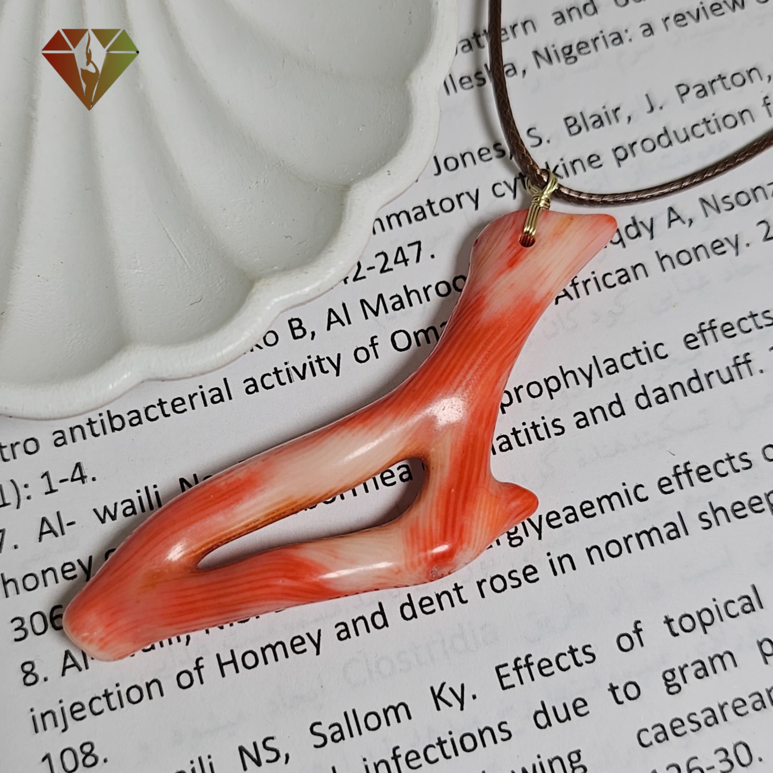 InShot_۲۰۲۴۱۱۲۰_۱۲۰۴۲۸۱۰۲