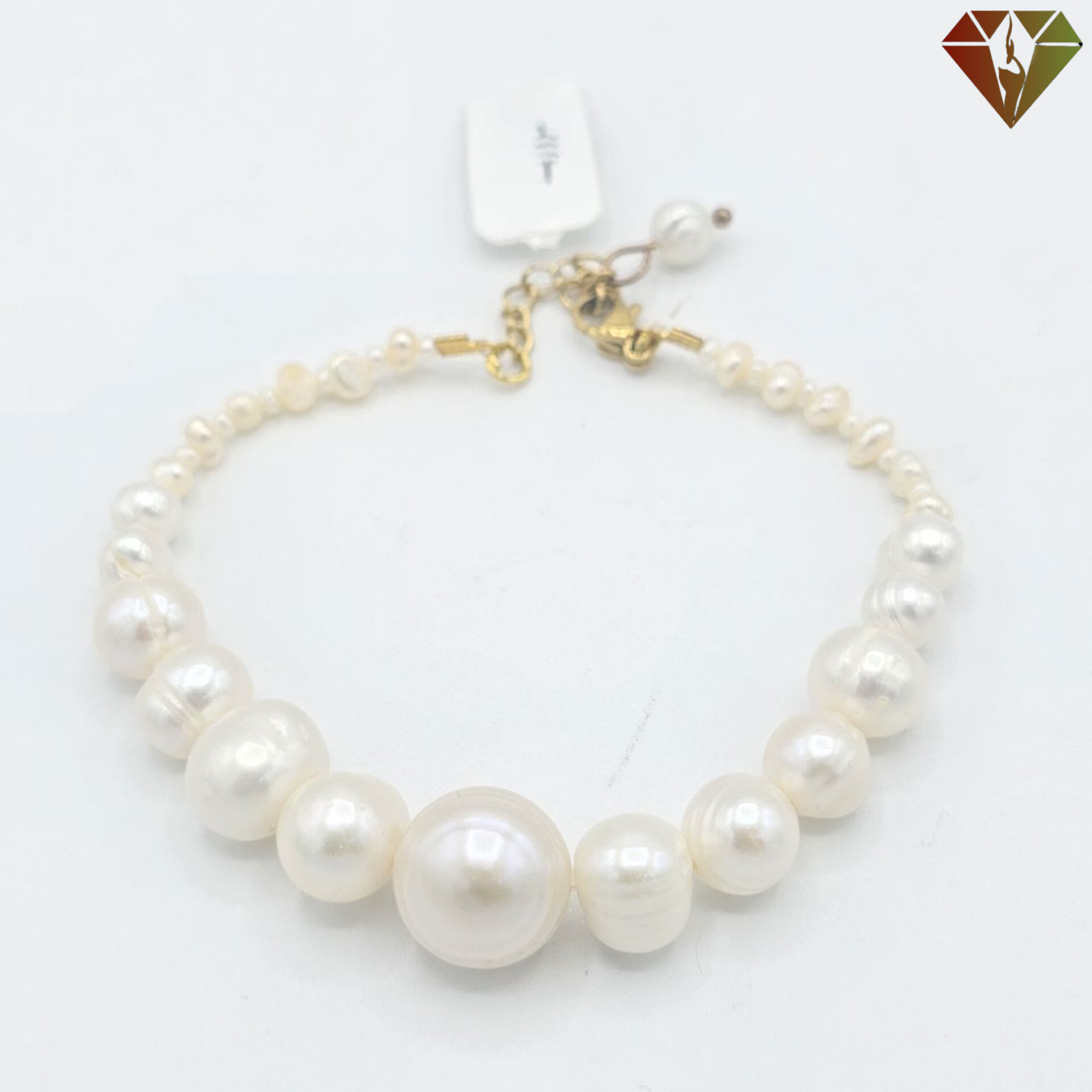 InShot_۲۰۲۵۱۲۱۰_۲۲۲۰۲۶۸۲۲