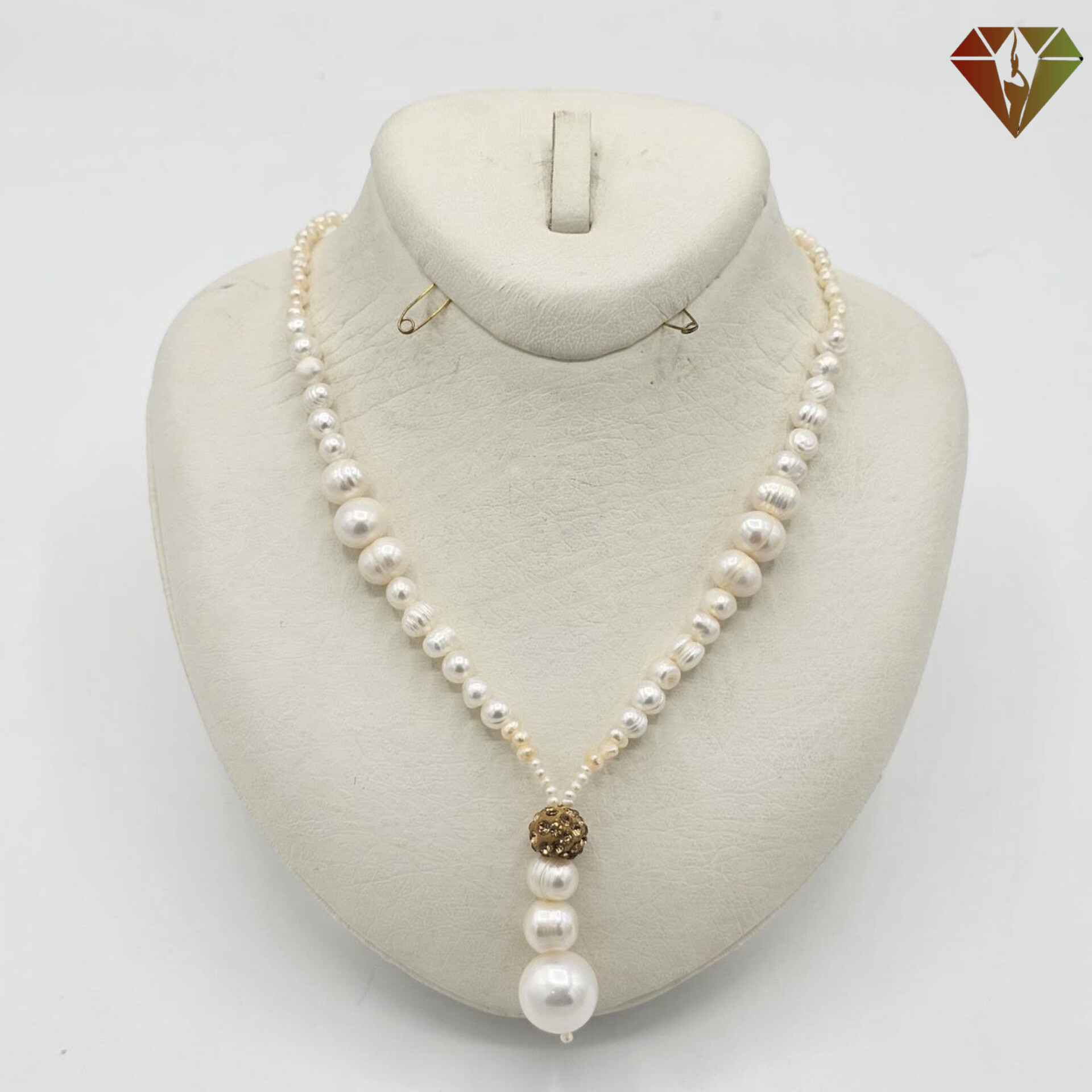 InShot_۲۰۲۵۱۲۱۰_۲۲۲۰۴۴۰۹۸